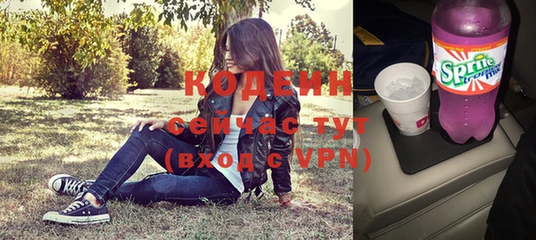 индика Беломорск