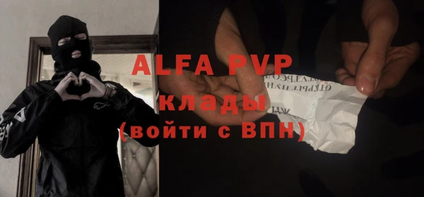 индика Беломорск