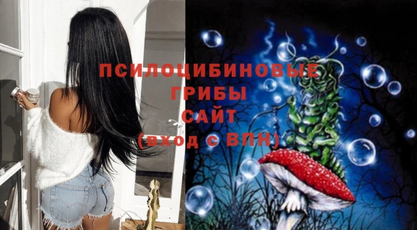 бошки Белокуриха