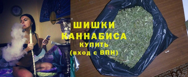 бошки Белокуриха