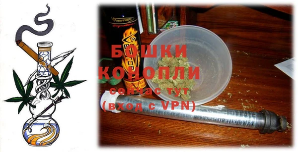 индика Беломорск