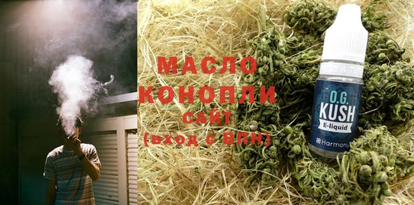индика Беломорск