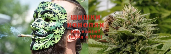 индика Беломорск