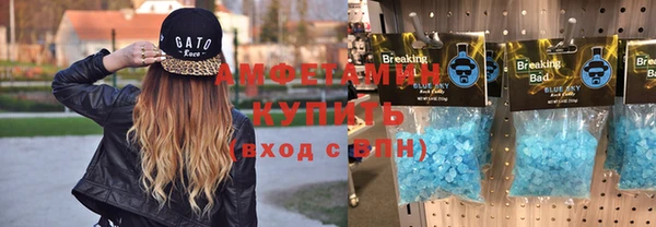 индика Беломорск