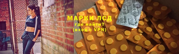 бошки Белокуриха