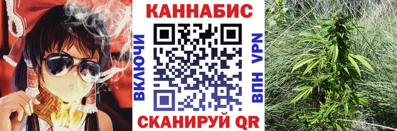 Бошки марихуана THC 21%  Куровское 